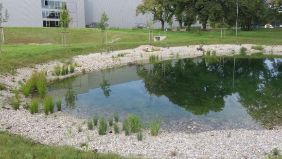 Habitat pour la flore et la faune